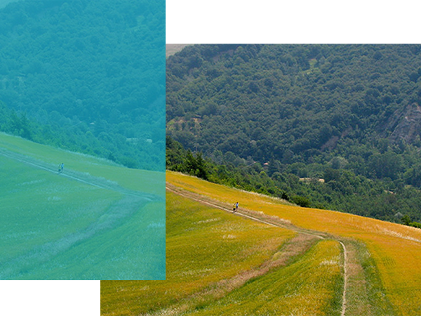 valorizzare-il-terr